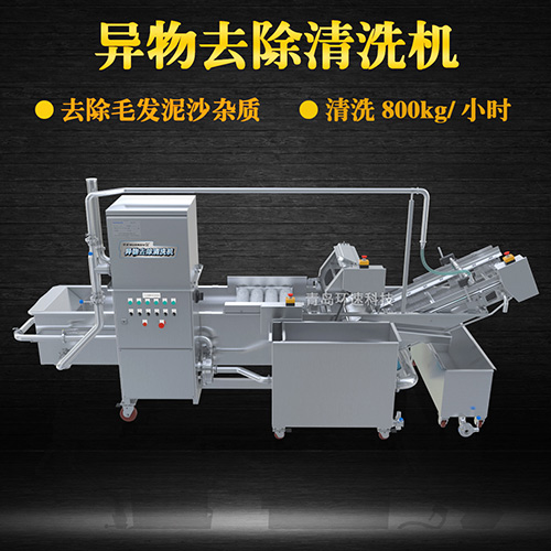 多功能水果清洗機，氣泡清洗，清洗800kg小時